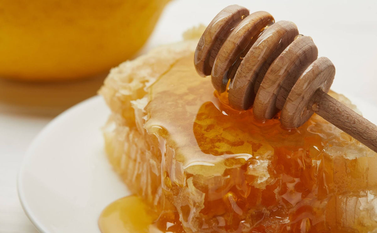 استيراد العسل من تركيا